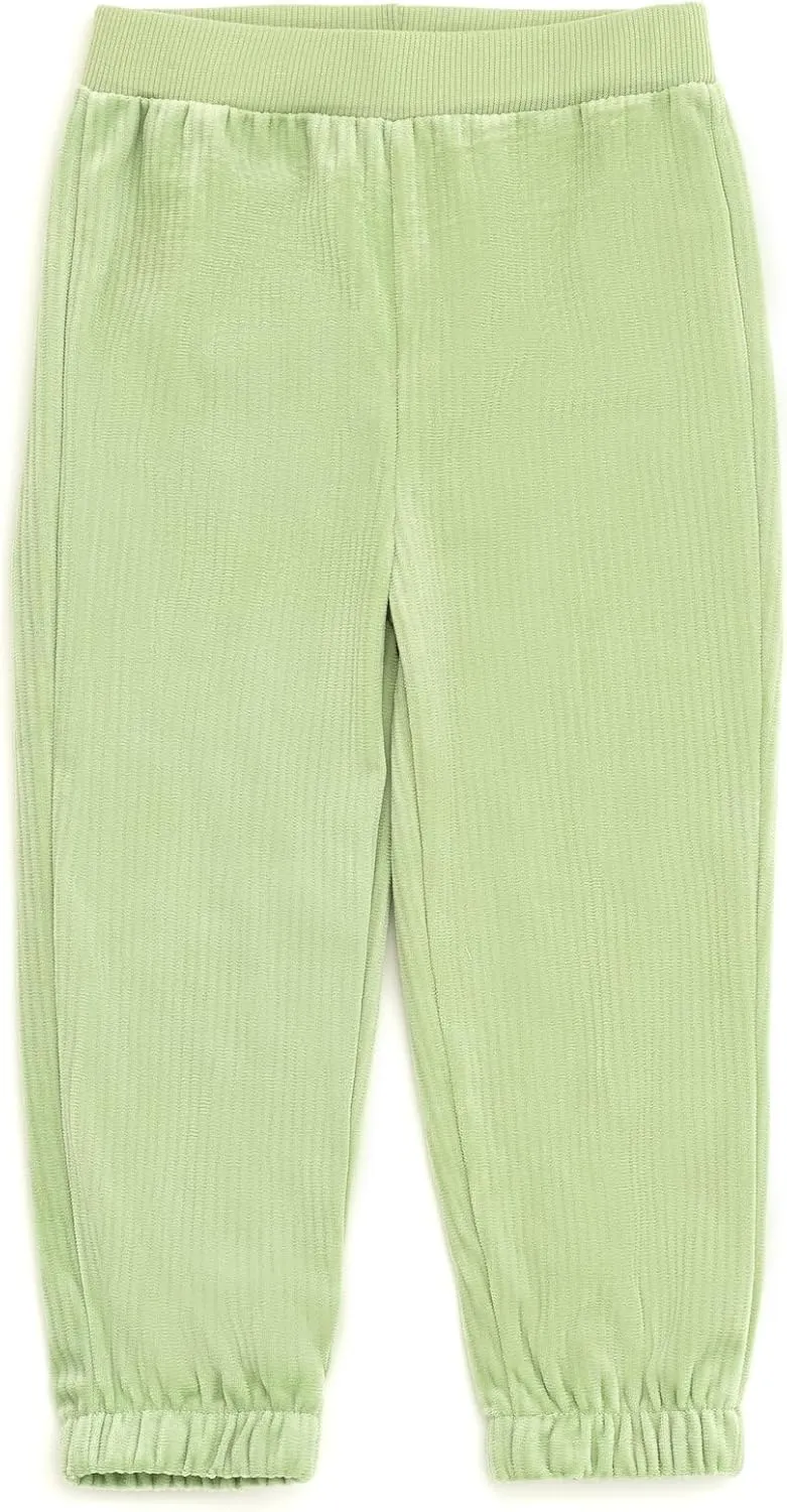 Disney Junior Lightweight Ribbed Velour Sweatshirt and Jogger Pants Outfit Set Infant to Big Kid Sizes (12 Months - 14-16)